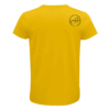Solar Plexus Chakra - Male - Image 2