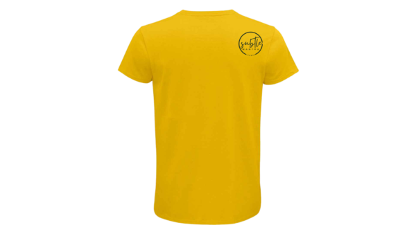 Solar Plexus Chakra - Male - Image 2