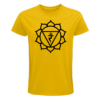 Solar Plexus Chakra - Male