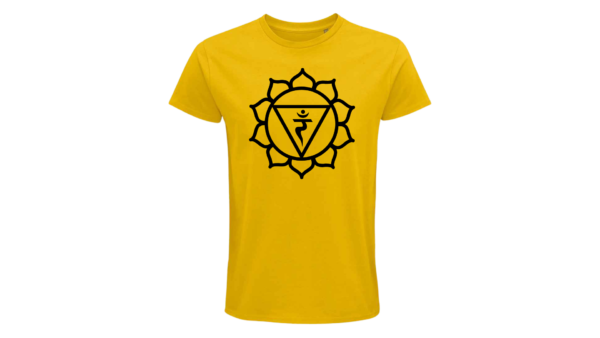 Full Chakra Series - Male - Image 6