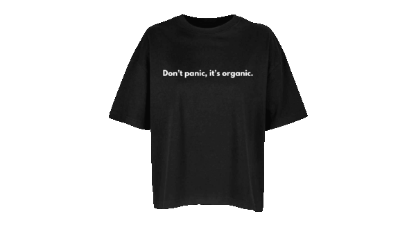 'Don't panic, it's organic.' - Oversized Organic Cotton T-Shirt (Female) - Image 10